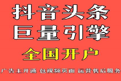 行业领先SEM托管代运营案例